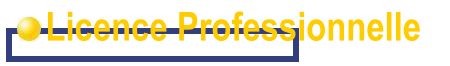 Licence Professionnelle